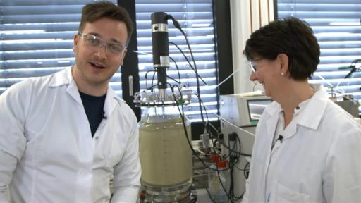 Eine Idee, wie Energie gespeichert werden kann: Mini-Lebewesen fressen Wasserstoff und CO2. 