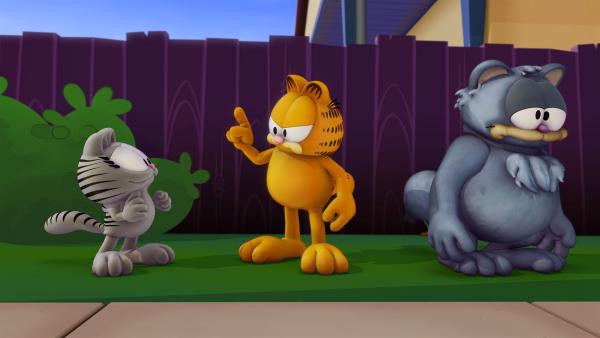 In Garfields Garten taucht plötzlich ein Kater auf, der behauptet, ein Geheimagent zu sein. | Rechte: HR/DARGAUD MEDIA