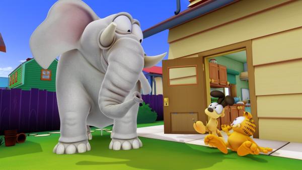 Shrimpy, der Elefant, wird von seinem Besitzer schlecht behandelt und flieht mit Hilfe von Garfield und Odie. | Rechte: HR/DARGAUD MEDIA