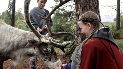 Olaf und Gudrun fangen ein Rentier ein, das sich von der Herde entfernt hat.