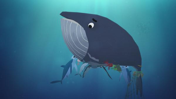 Filmszene "Die Geschichte vom Wal"