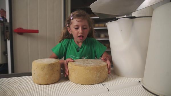 Ingrid (6 Jahre) lebt auf einem Bauernhof. Täglich kümmert sie sich mit ihrem Vater um die Tiere. Außerdem hilft sie ihm beim Käse machen. Besonders stolz ist sie auf ihren eigenen Schafskäse. | Rechte: ZDF/RAI