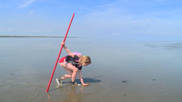 Sarah (6 Jahre) ist eine echte Watt-Expertin. Besonders fasziniert ist sie von den Krebsen, die sie auf ihrer Wanderung findet. Ihren roten Stock hat sie auf Wanderungen durchs Wasser immer dabei. | Rechte: ZDF/ KRO-NCRV