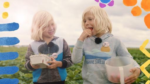 Die Zwillinge Sunny und Mika sind auf einem Erdbeerfeld und haben Erdbeeren gepflückt. Mika probiert eine leckere Erdbeere und Sunny schaut ihm dabei freundlich zu. Beide halten Gefäße mit Erdbeeren in der Hand. Die Ernte war erfolgreich.