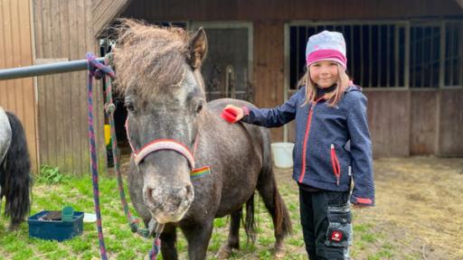 Nena steht neben ihrem Pony Molly. Sie hat eine Pferdebürste in der Hand und streicht über den Pferderücken. Im Hintergrund ist ein Pferdestall.