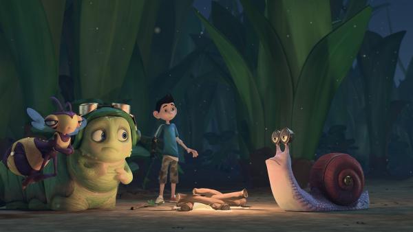 Am Lagerfeuer erzählt Zak den Insectibles eine gruselige Geschichte. | Rechte: KiKA/One Animation PTE LTD.
