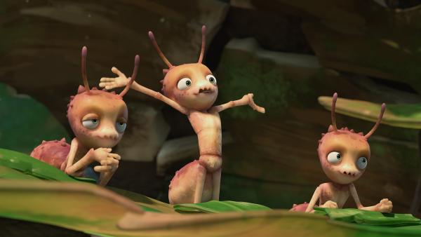 Die Termiten sind begeistert. Nur von wem? | Rechte: KiKA/One Animation PTE LTD.