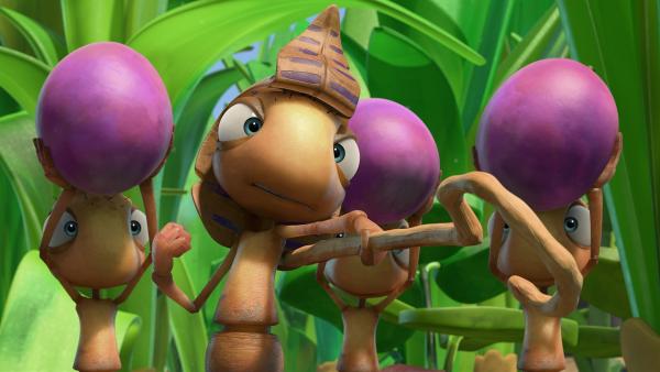 Die Pharao-Ameisen verbannen einen Scherzbold in die „Spinner-Höhle“.   | Rechte: KiKA/One Animation PTE LTD.