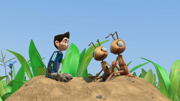 Zack freundet sich mit den nicht besonders klugen Ameisen an. | Rechte: KiKA/One Animation PTE LTD.