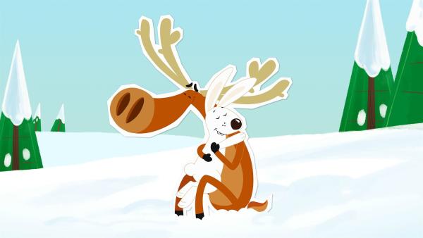 Elch Hubert nimmt an, dass er am Nordpol sehr beliebt ist. Er hat gewettet, dass er in kurzer Zeit von fünf Tieren geknuddelt wird. Beim Schneehasen Siggi klappt das auch sofort, aber dann droht die Wette zu scheitern. | Rechte: ZDF und JEP-Animation GmbH