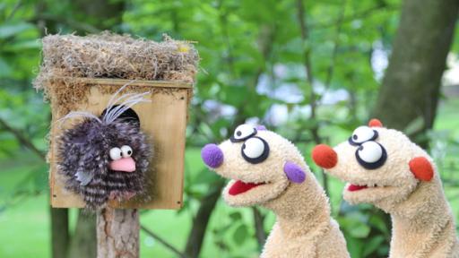 Zwei Erdmännchen aus Stoff sprechen mit einem Vogel aus Stoff, der in einem Vogelhäuschen sitzt. Im Hintergrund grüne Natur.