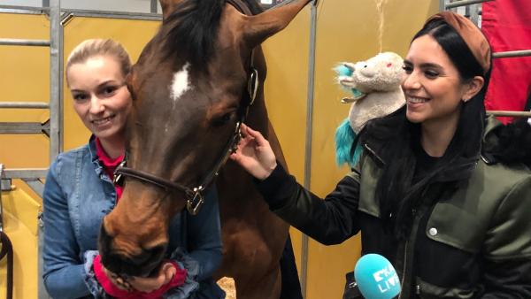 Jess trifft die Pferde-Bloggerin BinieBo. Gemeinsam besuchen sie die Messe „Partner Pferd“ in Leipzig – ein Highlight für Pferdefans mit Showreitern, Pferdeflüsterern und frechen Ponys. | Rechte: KiKA/Andrea Thoben