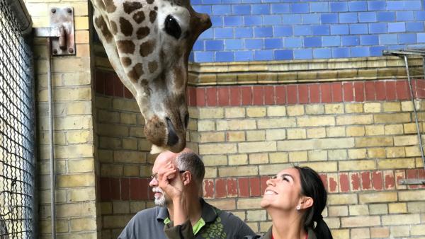 Jess hat Knäckebrot für Giraffe Max. | Rechte: KiKA/RozhyarZolfaghari