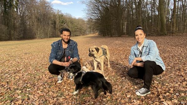 Jess trifft den Hundespezialisten Masih Samin und seine vierpfotigen Freunde in Köln. | Rechte: KiKA/Nicolette Maurer