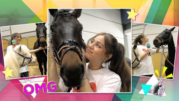 Wer Pferde liebt, ist bei der „Partner Pferd“ genau richtig. Sarah schaut hinter die Kulissen. | Rechte: KiKA