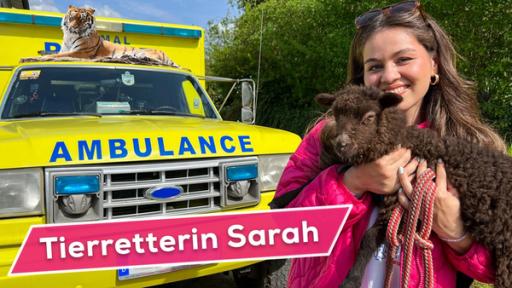 Rechts Sarah, die in braunes Schaf auf dem Arm trägt. Links ein gelbes Auto, auf dem "Ambulance" steht. Auf dem Dach des Autos liegt ein Tiger. Vorne links steht auf einem pinken Banner in weißer Schrift "Tierretterin Sarah".