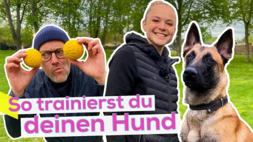 Rechts lächelnd Trainerin Vivienne und ihr Hund Amigo. Links Ben. Er hält zwei kleine Bälle nah an seine Augen und schaut nach links. Unten die Aufschrift So trainierst du deinen Hund.