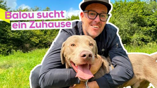 Ben in der Hocke auf einer grünen Wiese. Er umarmt einen Hund und lächelt. Die Schnauze des Hundes ist geöffnet und seine Zunge hängt heraus. Im Hintergrund hohe Büsche. Aufschrift oben links: Balou sucht ein Zuhause