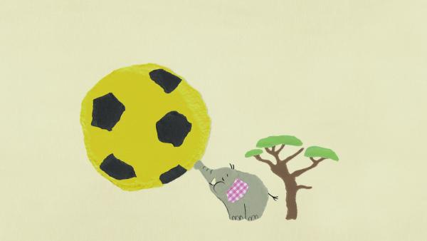 Der Elefantenballonfußball | Rechte: KiKA