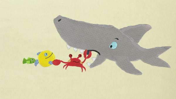 Eine Krabbe zieht einem Hai einen Zahn.
