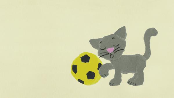 Eine kleine graue Katze spielt mit einem Fußball.