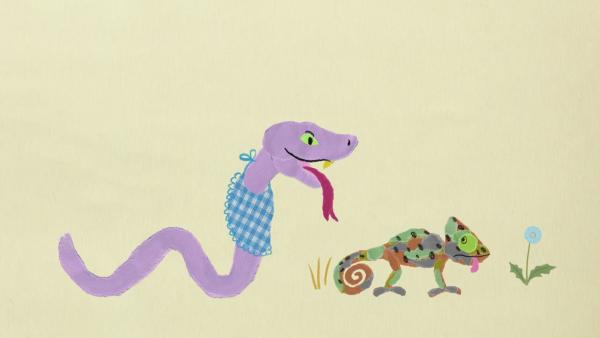Das Chamäleon und die Schlange | Rechte: KiKA