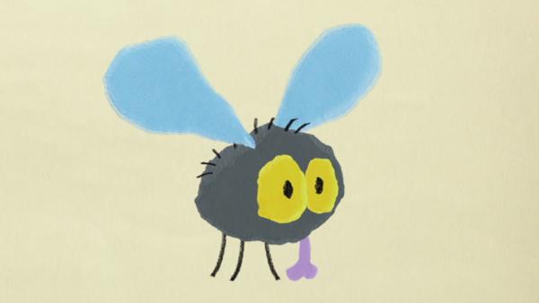 Die Fliege hat Geburtstag | Rechte: KiKA