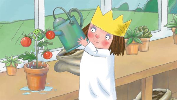 Die kleine Prinzessin pflegt und hegt ihre Tomatenpflanze. | Rechte: ZDF/Illuminated Film Ltd.