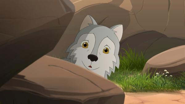 Zoe hat einen kleinen Wolf entdeckt, der ganz alleine zu sein scheint. | Rechte: ZDF/Classic Media/DC Entertainment/Superprod