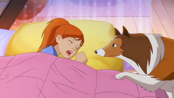 Lassie versucht  Zoe zu wecken um sie auf das Verschwinden von Harvey aufmerksam zu machen.  | Rechte: ZDF/Classic Media/DC Entertainment/Superprod