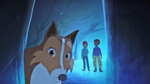 Lassie ist im Vordergrund zu sehen, während Harvey und Zoé weiter hinten stehen. Sie befinden sich in einer Eishöhle. | Rechte:  Superprod, ZDF, ZDFE