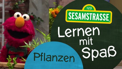 Elmo von der Sesamtraße neben einer Grafik. Darauf das Sesamstraßenlogo und der Folgentitel: Pflanzen.