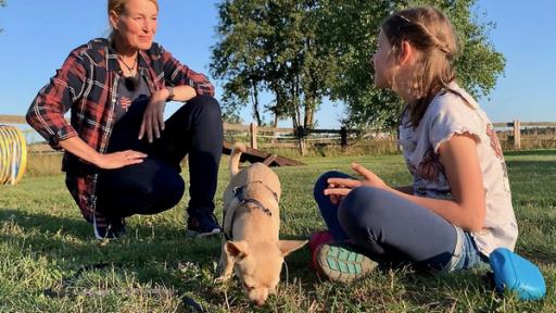 Alissa und Bambi in der Hundeschule.