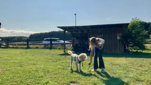 Lilli und Shira in der Hundeschule.