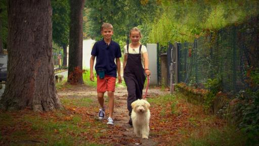 Junge und Mädchen mit Hund