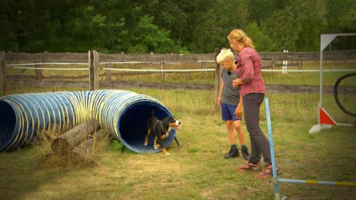 Frau und Junge bei Hundetraining