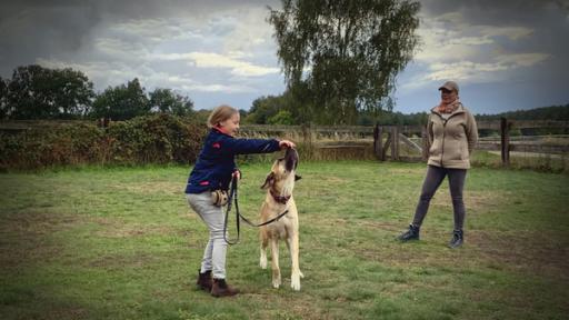 Hundetrainerin mit Mädchen und Hund