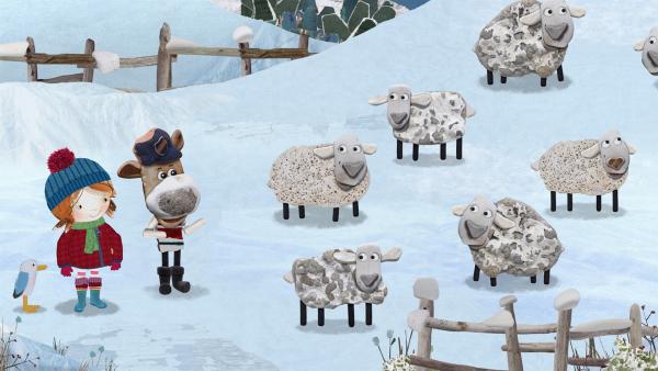 Damit die Schafe nicht frieren, treiben Pelle, Lily und Salty sie in den warmen Stall.  | Rechte: KiKA/Sixteen South