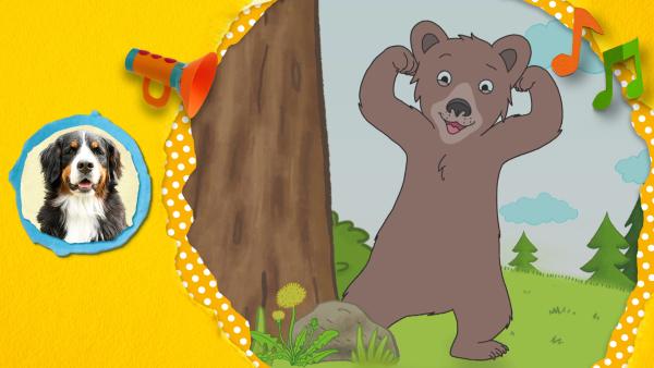 Keks von "Löwenzähnchen" macht Musik und singt ein Lied über den Bären. | Rechte: ZDF