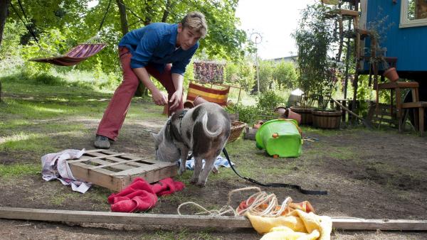 In Fritz Fuchs' (Guido Hammesfahr) Garten hat sich ein Schweinchen verirrt  - und heftiges Chaos angerichtet. | Rechte: ZDF/Antje Dittmann