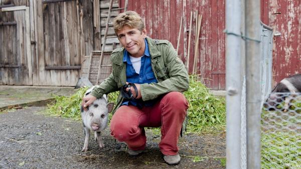 Fritz Fuchs' (Guido Hammesfahr) hat mit dem Schweinchen Freundschaft geschlossen. Aber wo es hingehört, weiß er immer noch nicht. | Rechte: ZDF/Antje Dittmann