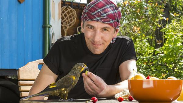 Ein Papagei ist Fritz Fuchs (Guido Hammesfahr) zugeflogen. Woher kommt er bloß? Der Braun-Lori spricht sogar, er nennt sich "Räuber". | Rechte: ZDF/Ole Schwarz