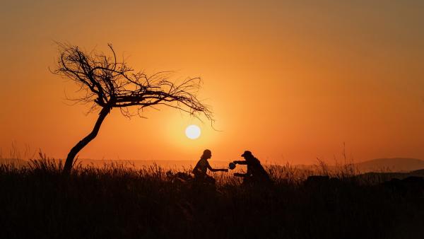 Nach der Autopanne mitten in der Savanne, haben Fritz (Guido Hammesfahr, re.) und Yasemin (Sanam Afrashteh, li.) beschlossen, es positiv zu sehen. Sie bewundern Südafrikas grandiosen Sonnenuntergang. | Rechte: ZDF/Raquel Fernandes