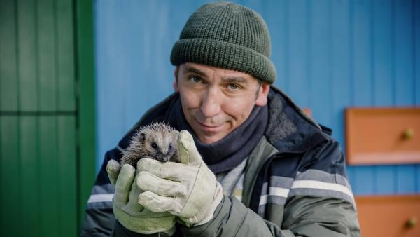 Der kleine Igel braucht dringend Hilfe, um den Winter zu überleben. Fritz (Guido Hammesfahr) kümmert sich um ihn. | Rechte: ZDF/Andrea Hansen
