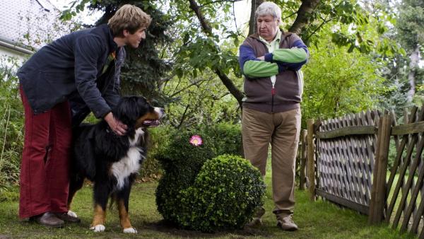 "Ein Hund muss mal und ein Buchsbaum ist auch nur ein Baum." Fritz (Guido Hammesfahr) verteidigt Keks vor Nachbar Paschulke (Helmut Krauss). | Rechte: ZDF/Antje Dittmann