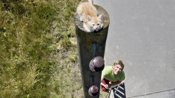 "Na los, spring!" Fritz Fuchs (Guido Hammesfahr) versucht das kleine Kätzchen vom Mast zu retten. | Rechte: ZDF/Antje Dittmann