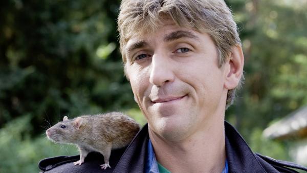 Fritz Fuchs (Guido Hammesfahr) hat Besuch von Schnüffelkünstlerin Luzie, der Ratte. | Rechte: ZDF/Antje Dittmann