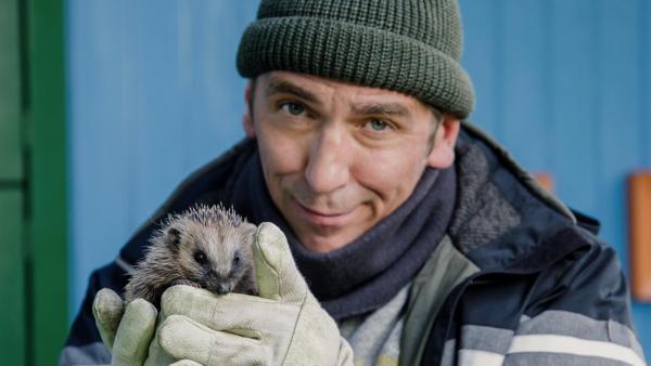 Fritz steht vor dem Bauwagen und hält einen Igel in den Händen | Rechte: ZDF
