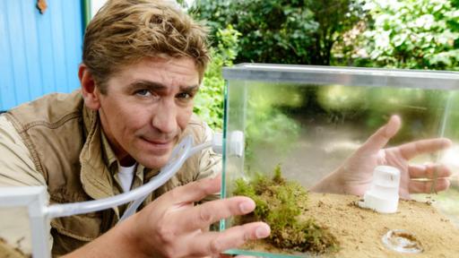 Fritz mit Terrarium