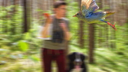 Fritz und Keks stehen im Wald - Im Vordergrund fliegt eine Nachtigall vorbei